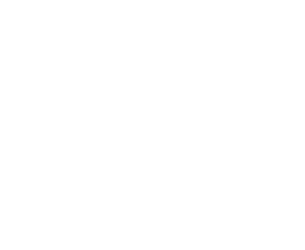  la stazione